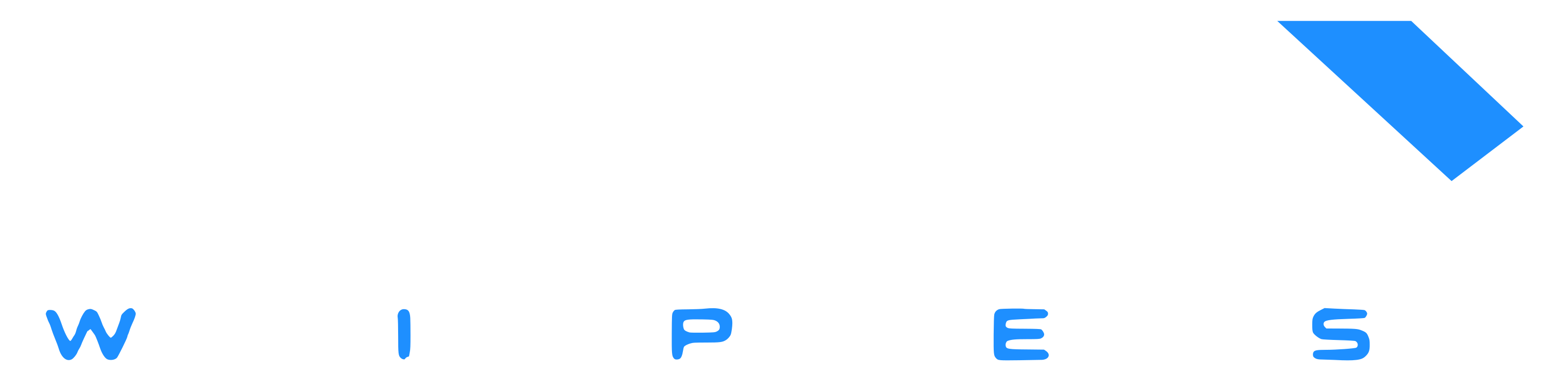 FWD Wipes